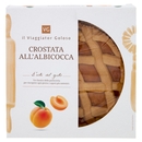 Crostata all'Albicocca il Viaggiator Goloso
